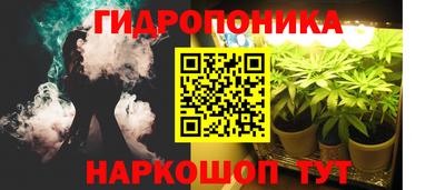 ПСИЛОЦИБИНОВЫЕ ГРИБЫ Гатчина