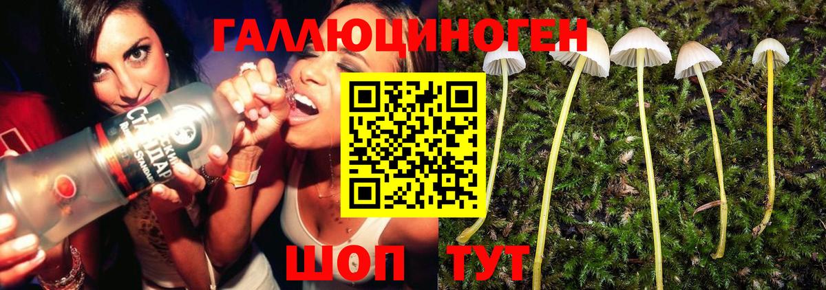 даркнет сайт  Галлюциногенные грибы мухоморы  Вход с VPN  Малгобек 