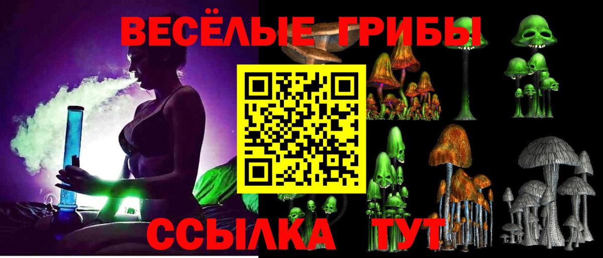 Псилоцибиновые грибы Psilocybe Малгобек